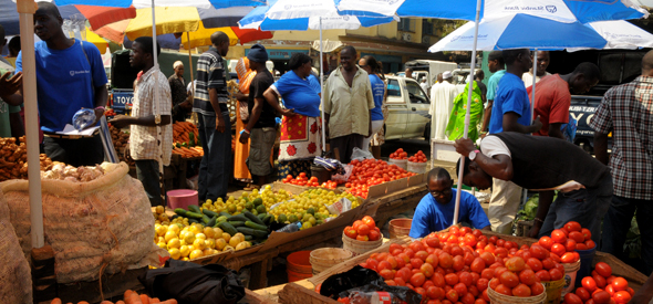 What Is Considered A Small Business In Malawi 