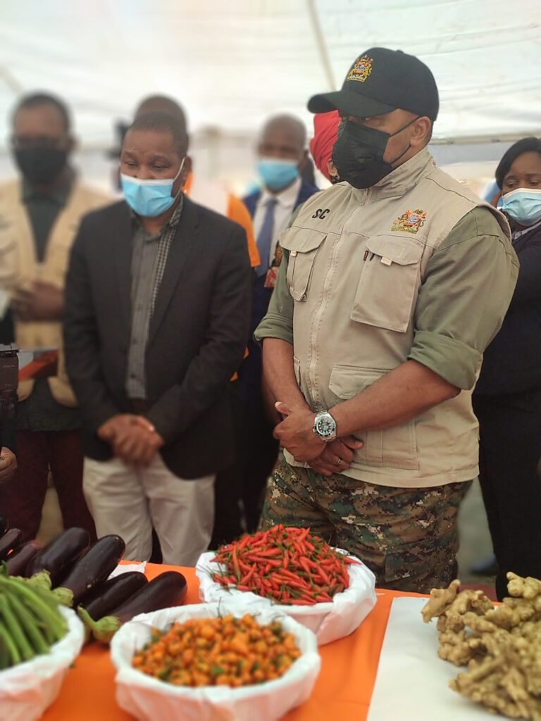 Saulos Chilima Wearing Army Gear